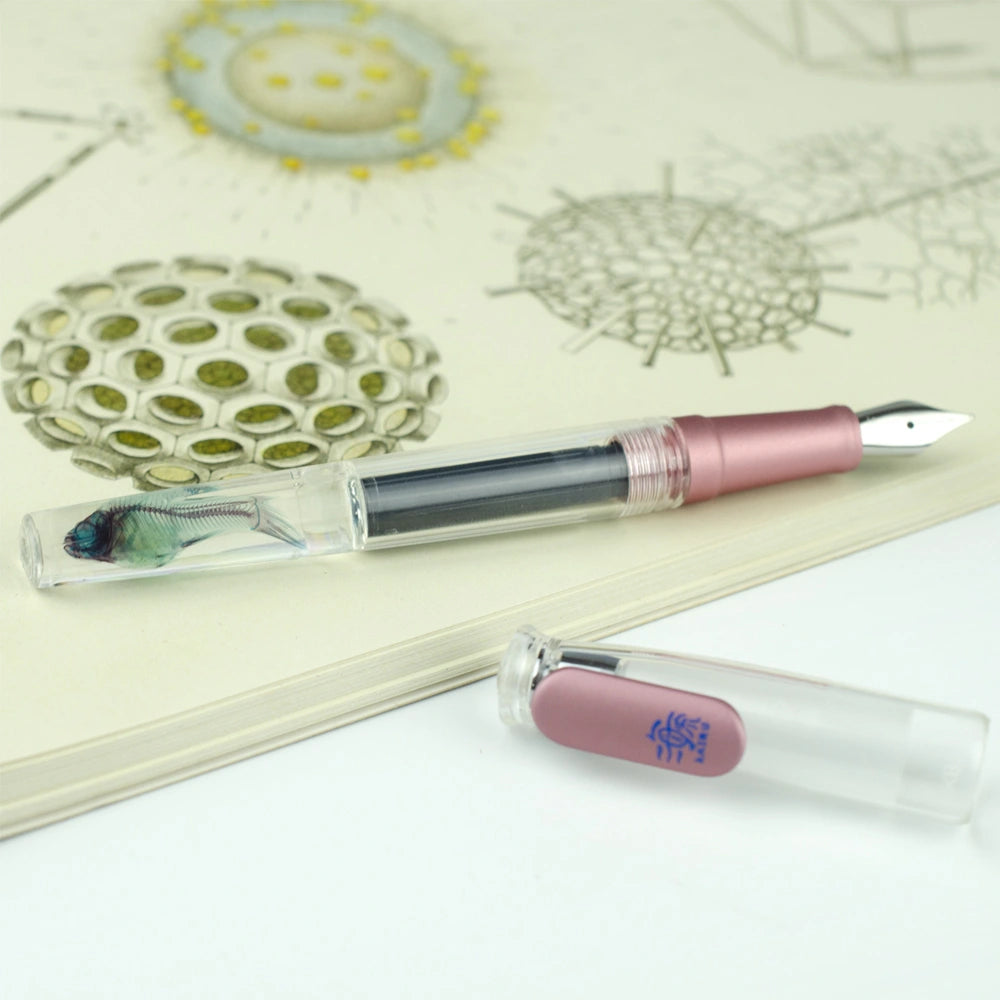透明標本鋼筆+墨水禮盒 共四色 食蚊魚 鋼筆