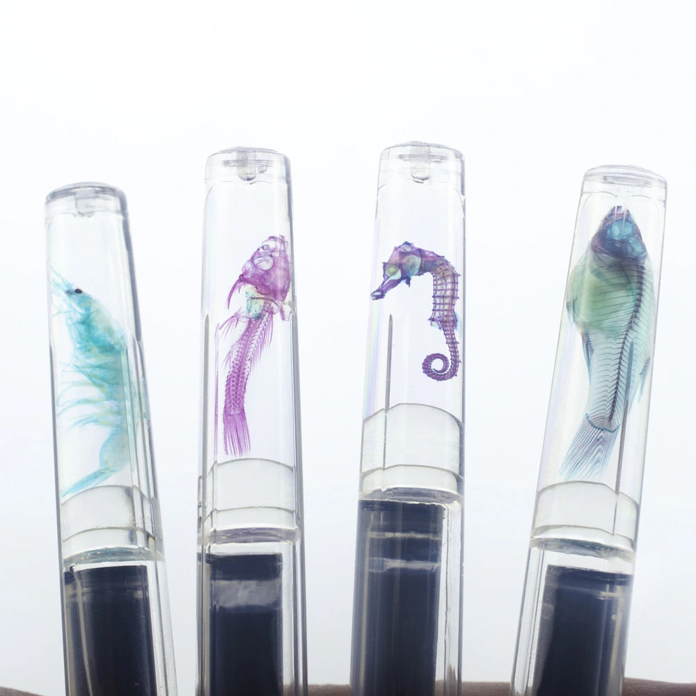 透明標本鋼筆+墨水禮盒 共四色 食蚊魚 鋼筆